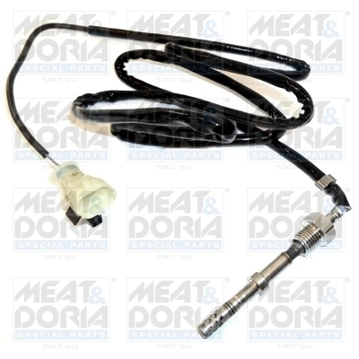 Sensor, exhaust gas temperature
